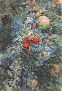 John Singer Sargent Pomegranates (mk18) China oil painting reproduction